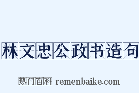 林文忠公政书造句是什么意思的图片